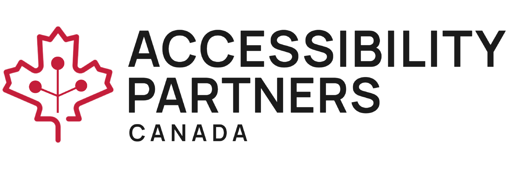 Accessibility Partners Logo